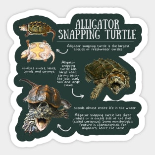 Animal Facts - Alligator Snapping Turtle Sticker